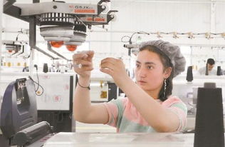 新疆生產建設兵團 固邊興疆，兵地富余勞動力轉型產業工人助力針紡織業發展